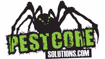 🐜 Your Trusted Local Pest Control Experts