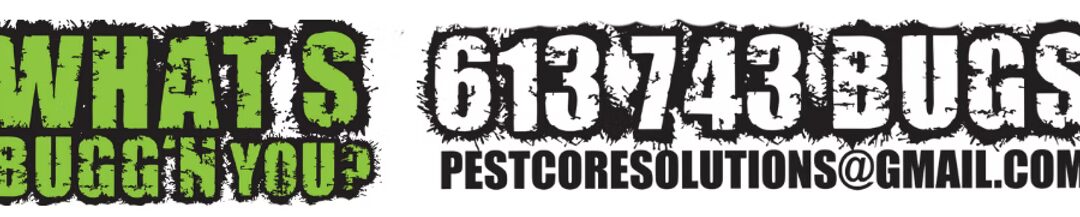 🐜 Local Business Feature: Pest Core Solutions